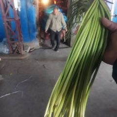 金乡冷库《供应及储存》蒜苔