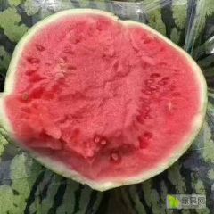 万亩基地美都西瓜大量上市了！