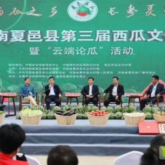 河南夏邑8424、美都大量上市