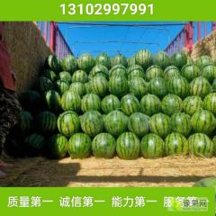 河北省保定市清苑县伟业西瓜代办