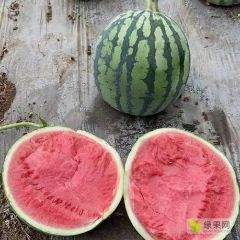 无籽美都大量供应