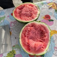 夏邑精品无籽美都西瓜