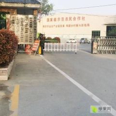 山东省济宁市金乡县储洋葱大蒜通知