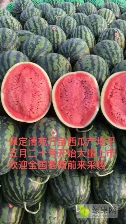 甜王系列价格