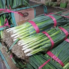 东昌府沙镇刘长江常年供应长白大葱