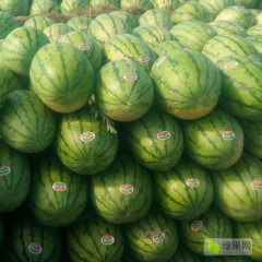 临沂嘉兴水果市场求购西瓜8424-美都-麒麟-金城5代卖代销各类鲜果