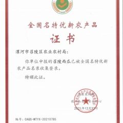 绿色家园，走向全球！