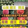 大棚甜王西瓜✔7-15斤✔8-9成熟✔山东淄博高青✔万亩西瓜✔产地