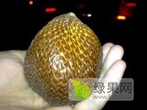 2022年湖南长沙县蛇皮果价格