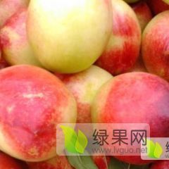 油桃，毛桃，蟠桃，黄桃，