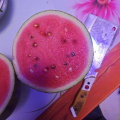 河南省南乐县西瓜大量上市