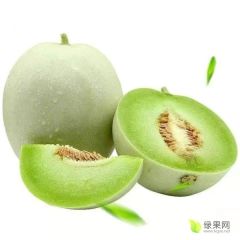 山东玉姑甜瓜大量上货，质量好。