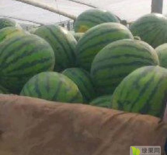 甜王系列价格