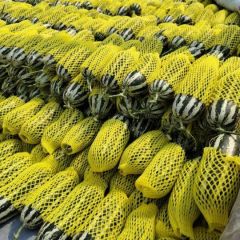 精品博洋甜瓜，质量保证，大量货源欢迎咨询