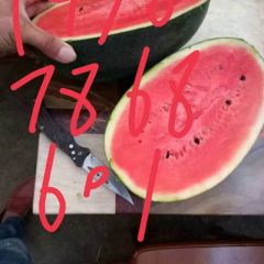 黑美人西瓜代办代发，诚信经营质量保障