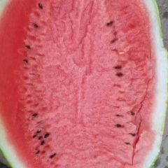 河南省开封市通许县龙卷风 美都 大量供应