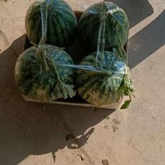 全国三大著名西瓜产地之一。老魏欢迎你。