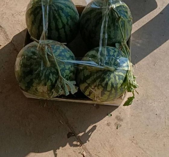 龙卷风价格