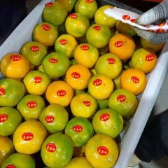 宜昌高山特早蜜桔,皮薄肉厚,汁多味甜,无核化渣,农户一手货批发132