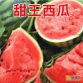 辽宁西瓜代办-辽宁西瓜产地代收