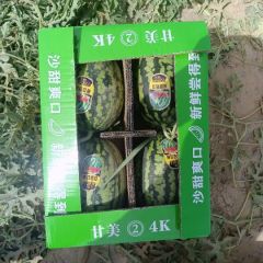陕西甘美4k西瓜批发，甘美4k西瓜基地