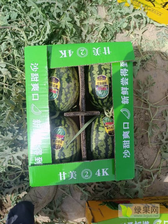 甘美4k西瓜价格