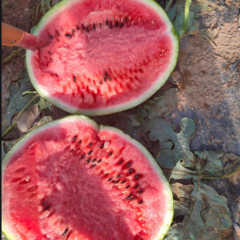 京欣，冠龙大量上市