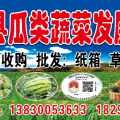 会宁瓜类蔬菜发展协会