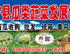 会宁瓜类蔬菜发展协会