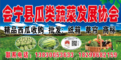 会宁瓜类蔬菜发展协会