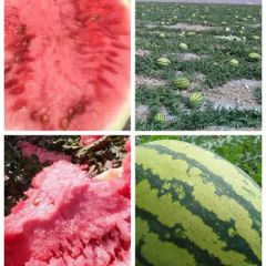 疫情影响，便宜处理