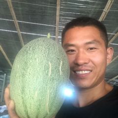 西周蜜25糖度15个