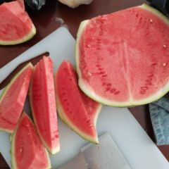 太康县的直根苗黑皮无籽西瓜大量上市中，物美价廉欢迎惠顾！