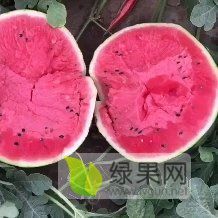 甜王系列价格
