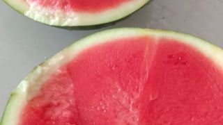 黑皮无籽价格
