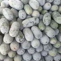太康县的小水果冬瓜大量上市中，物美价廉，欢迎惠顾