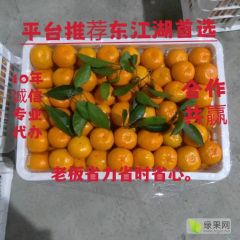 资兴蜜橘 一年好景君须记，最是橙黄桔绿时