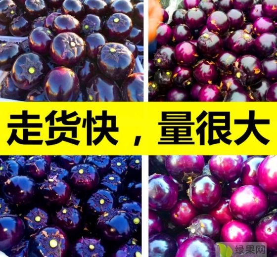 2022年山东莘县圆茄价格