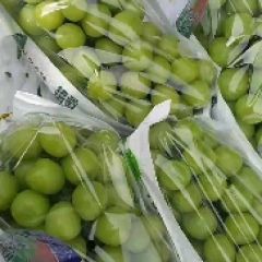 陕西冷库阳光玫瑰葡萄供应阳光玫瑰葡萄价格