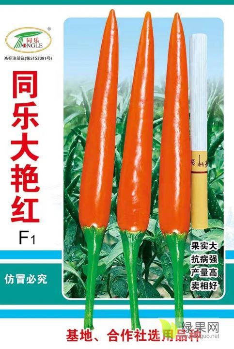 2022年安徽砀山大果朝天椒价格