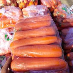 河北精品红萝卜，大量供应中，一手货源，产地直发，欢迎全国