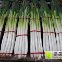 正宗章丘大葱