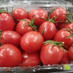 山东省聊城市阳谷县代收圣女果，大型选果机货源充足质量