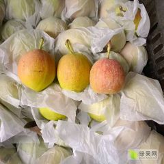 库尔勒香梨价格，库尔勒香梨批发