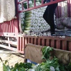 20221119河南焦作北京三号大量上市中