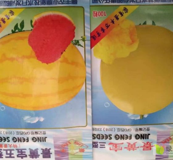 2022年山东历城红肉西瓜种子价格