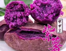 紫薯（二代花叶紫罗兰）
