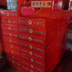 正宗陕西洛川红富士