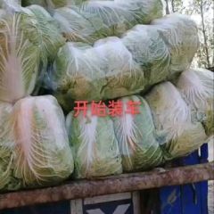 小张果蔬批发基地