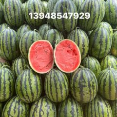 山东西瓜代办代收 诚信第一13948547929